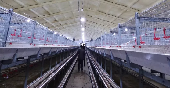 養鴨場老板：熱泵供暖溫度高，費用比燒煤還??！